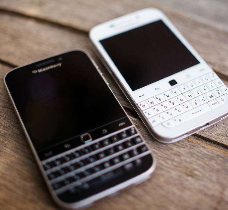 blackberry-